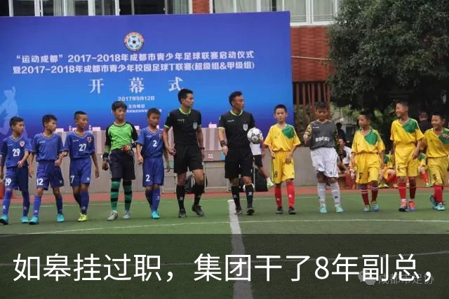 如皋挂过职，集团干了8年副总，朱峭嵘这步棋终究没走稳