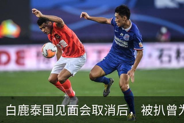 白鹿泰国见面会取消后，被扒曾为缅北拍宣传片，知情人爆更多内幕