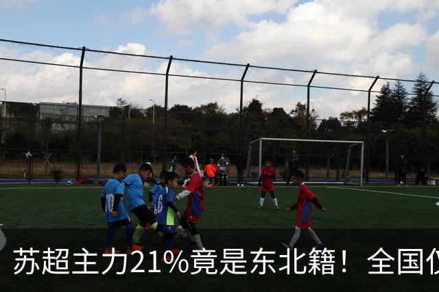 苏超主力21%竟是东北籍！全国仅11.6%，这局到底是谁选了谁？