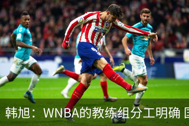 韩旭：WNBA的教练组分工明确 国内基本就是一个主教练+两个助教