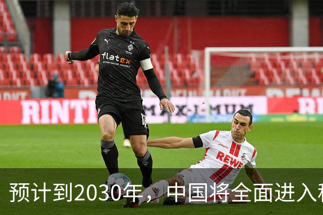 预计到2030年，中国将全面进入租房时代，房子会越来越难卖