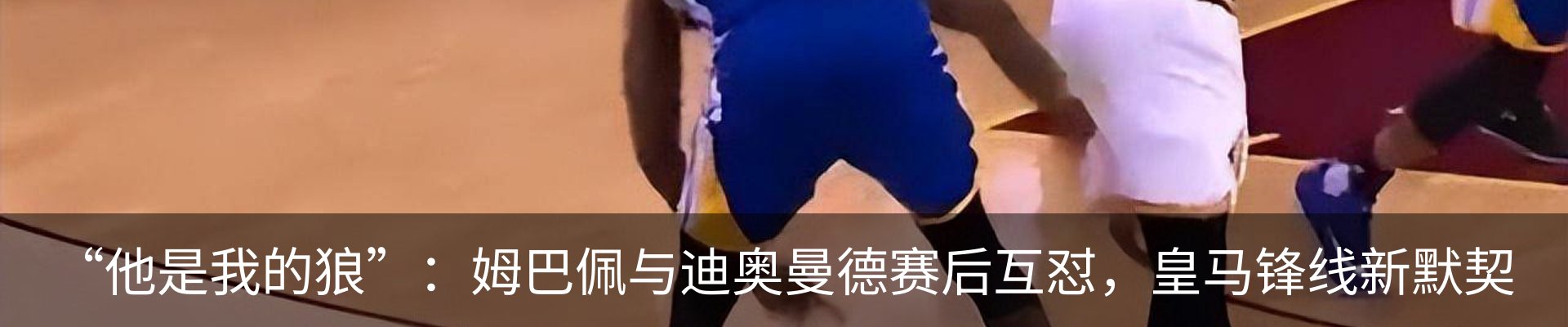 新闻动态