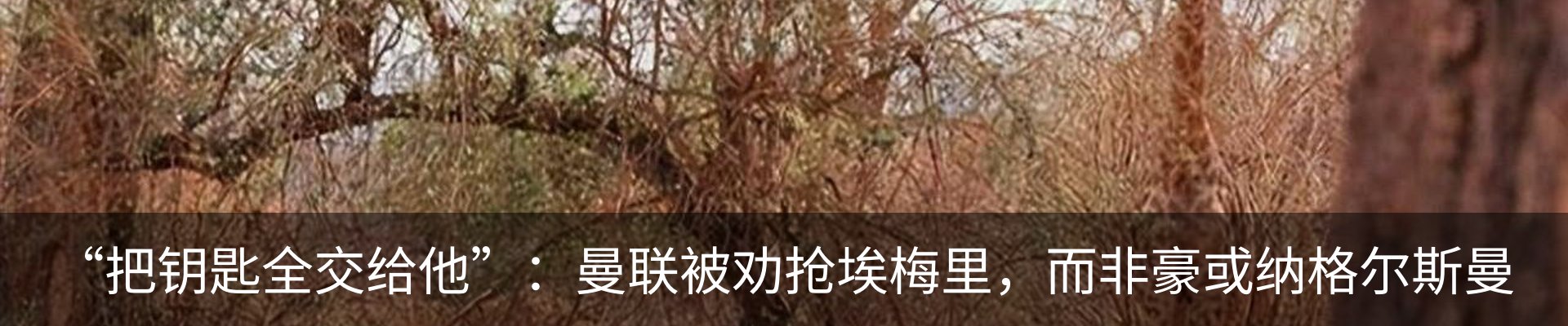 新闻动态