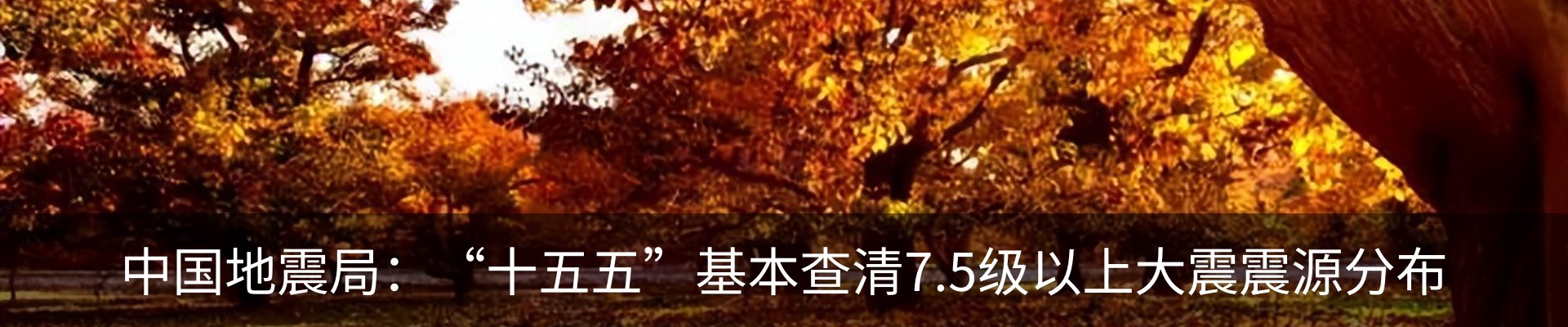 新闻动态