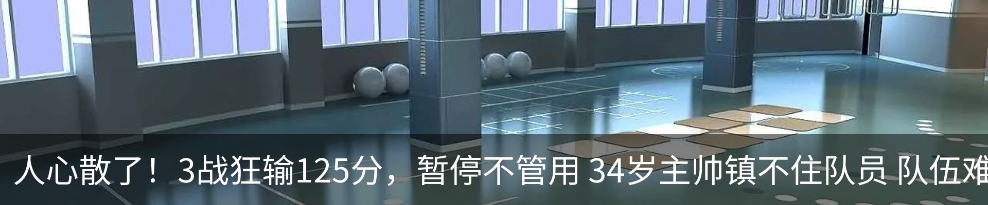 新闻动态