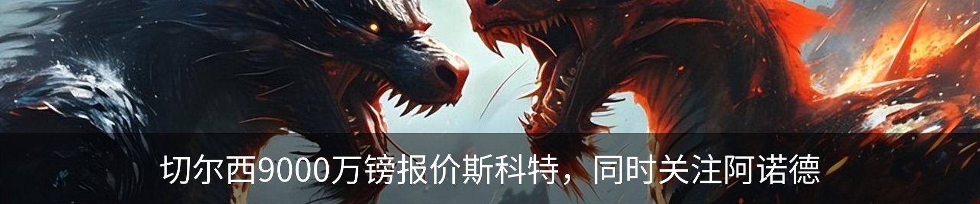 新闻动态