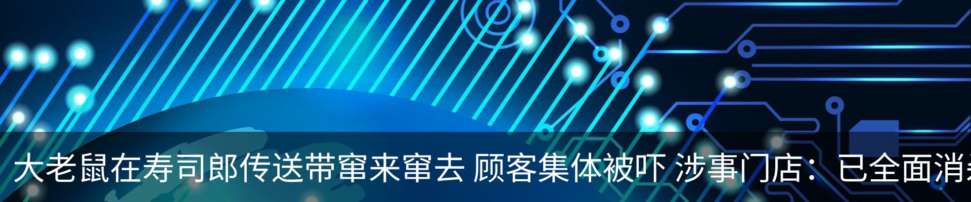 新闻动态