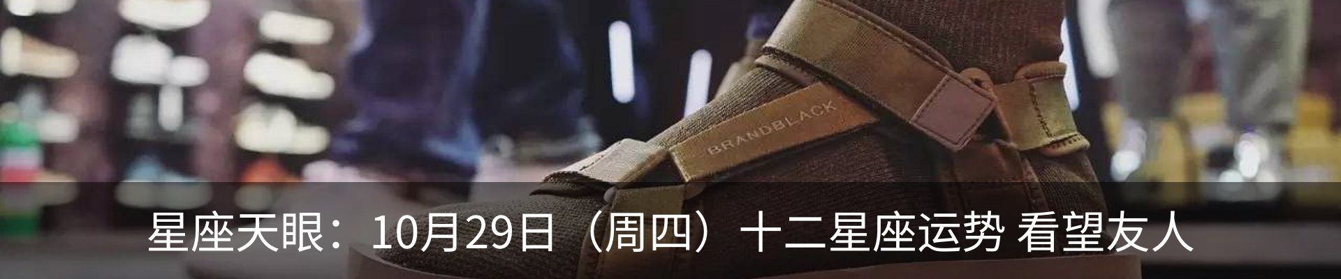 新闻动态