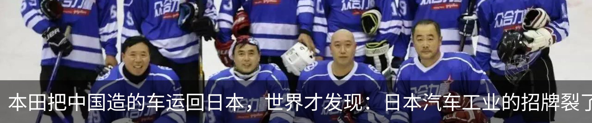 新闻动态