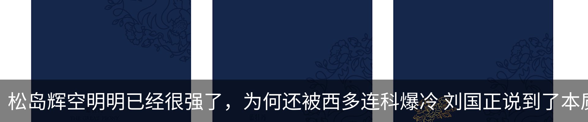 新闻动态