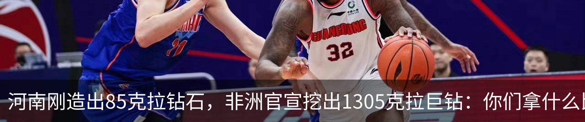 新闻动态