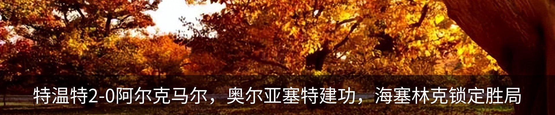 新闻动态