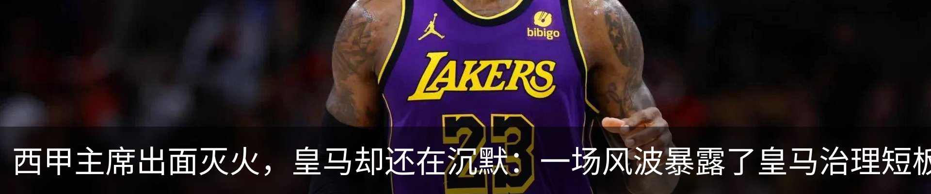 新闻动态