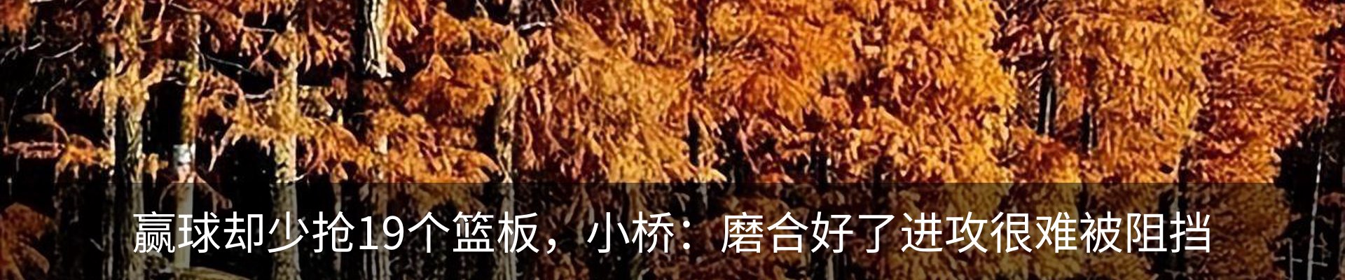 新闻动态