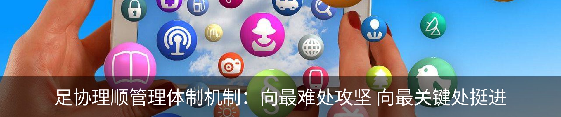 新闻动态