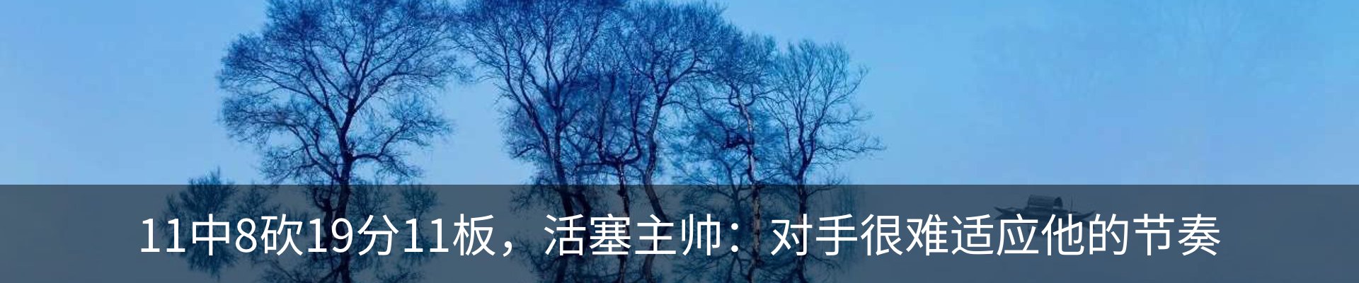 新闻动态